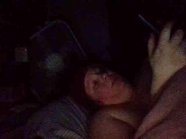 starlight1983 webcam