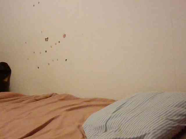 starlight1983 webcam