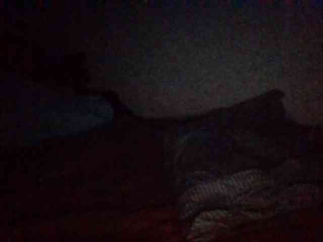 chat on line Starlight1983