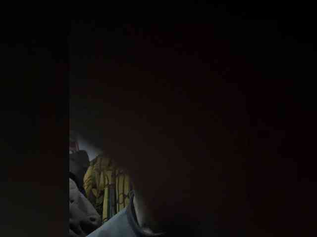 KopatelPop12 KopatelPop12