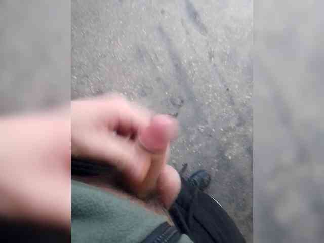 Loks11141