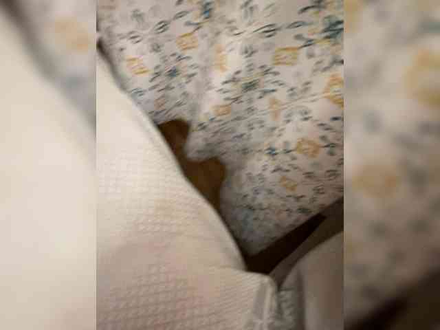 Nadziratel64 Nadziratel64