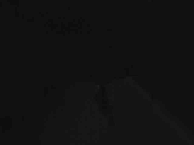 Denis55555552 Live Webcam on BongaCams
