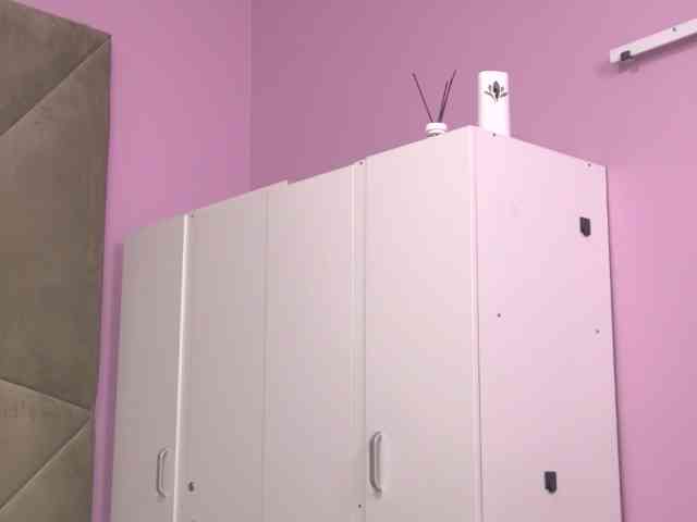 ElizaIbarra webcam