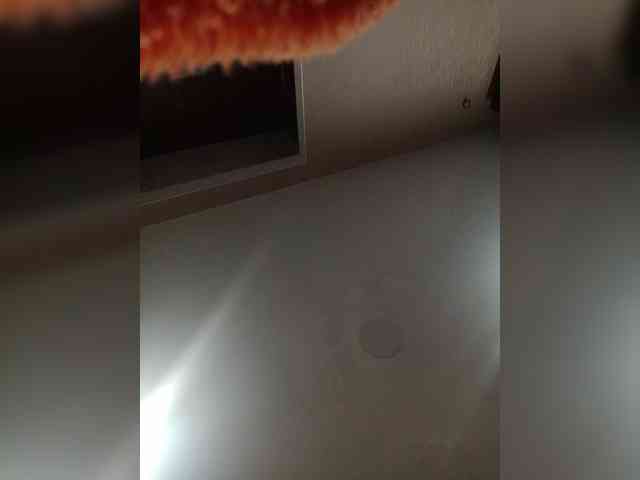 CEKC-MENU webcam