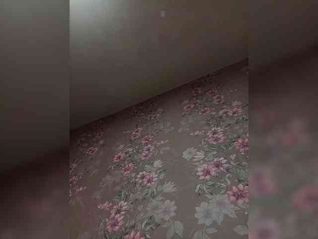 CEKC-MENU webcam