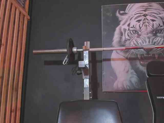 DimitriDeluxe DimitriDeluxe