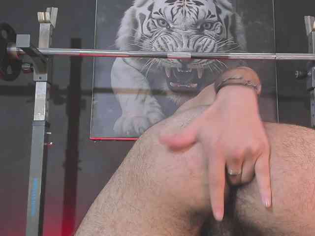 DimitriDeluxe DimitriDeluxe