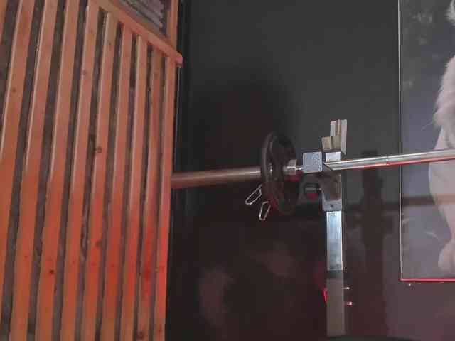 DimitriDeluxe DimitriDeluxe