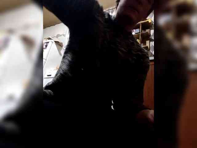 Pavel6677766 Live Webcam on BongaCams