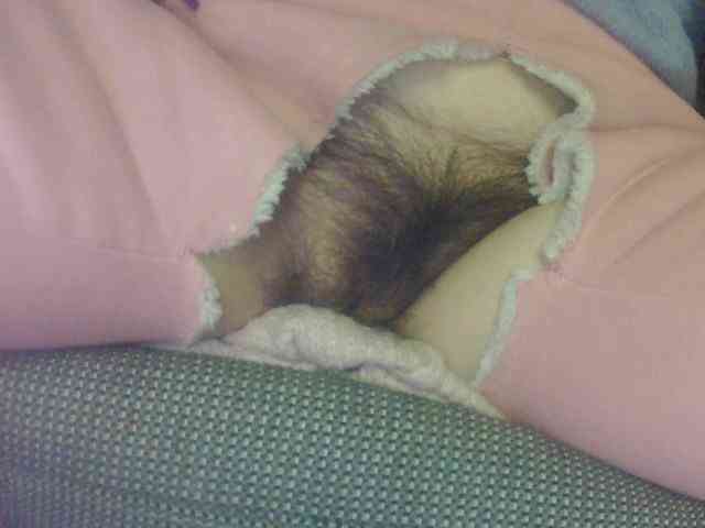 hujiajiajia1314 hujiajiajia1314