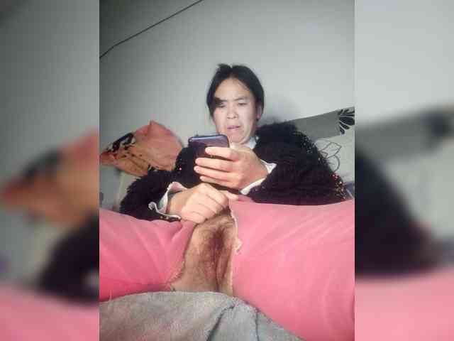 hujiajiajia1314 webcam