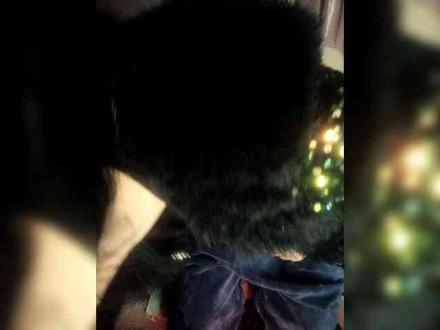 hujiajiajia1314 webcam