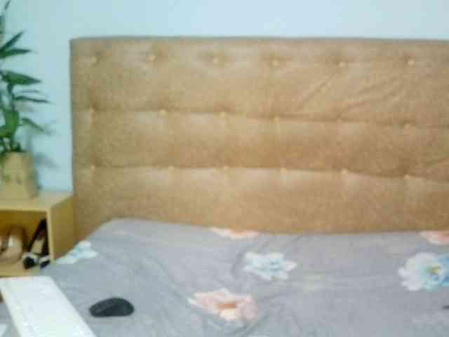 Vaniella webcam