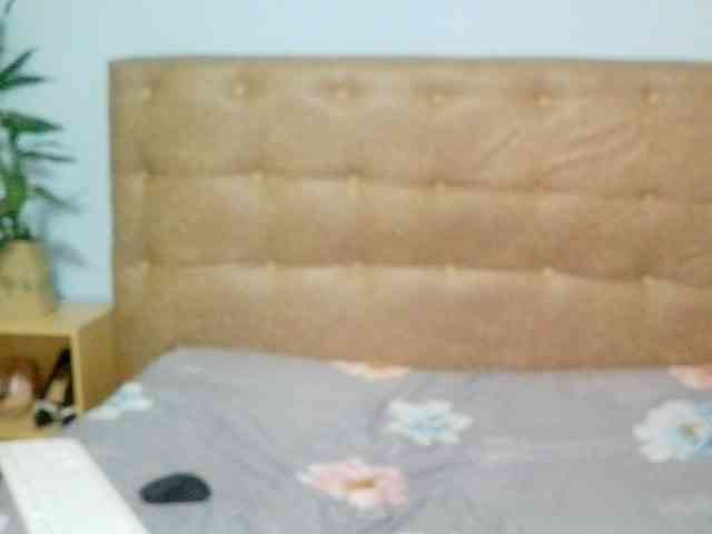 Vaniella webcam