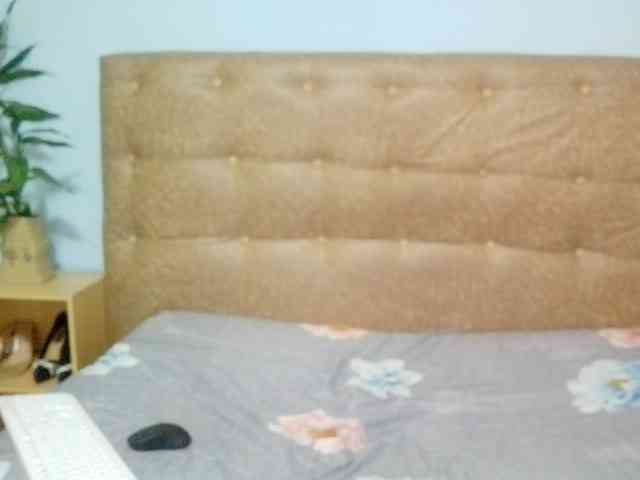 Vaniella webcam
