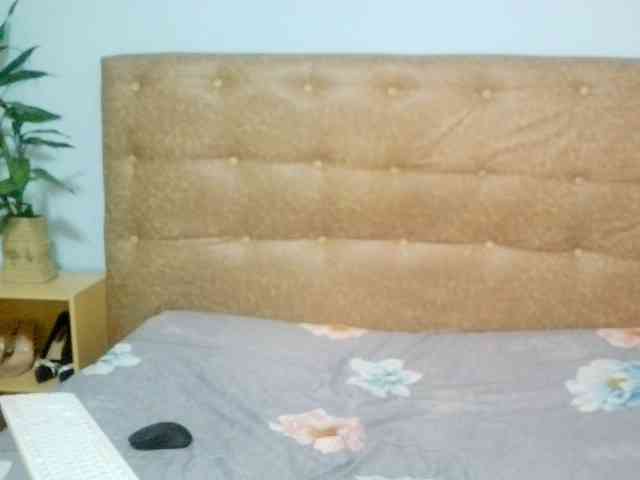 Vaniella webcam