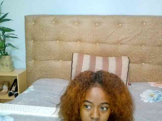 Vaniella webcam