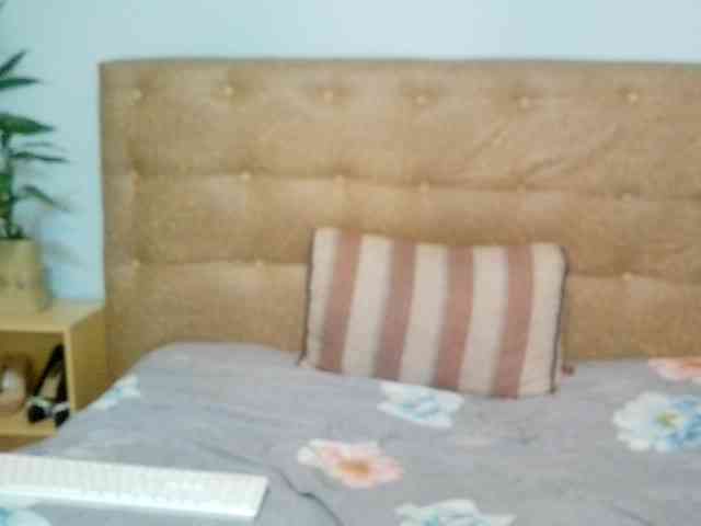 Vaniella webcam