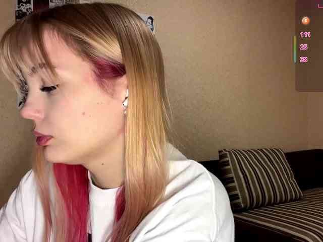 KaronVondielingen webcam