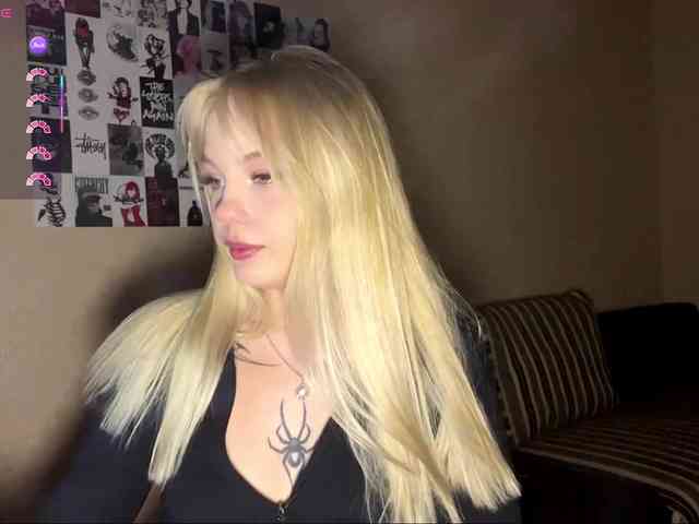 KaronVondielingen webcam