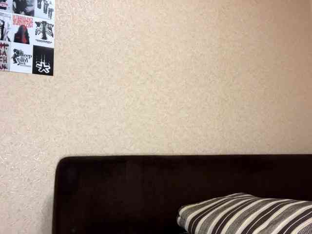 KaronVondielingen webcam