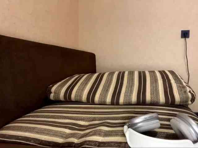 KaronVondielingen webcam