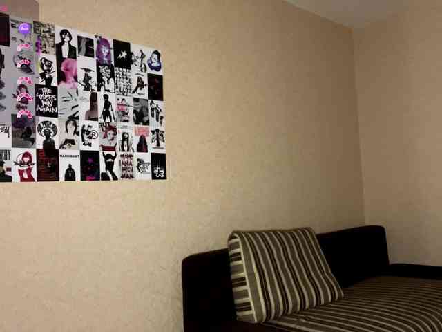 KaronVondielingen webcam