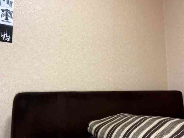 KaronVondielingen webcam