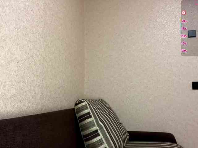 KaronVondielingen webcam