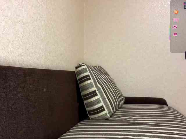 KaronVondielingen webcam