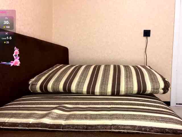 KaronVondielingen webcam