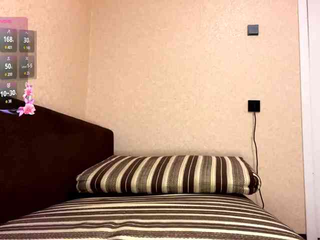 KaronVondielingen webcam