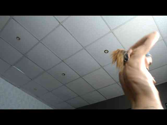 SugarStardust webcam