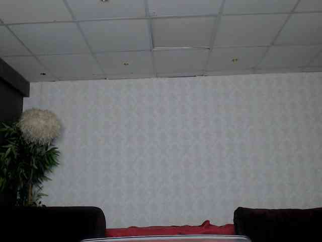 SugarStardust webcam