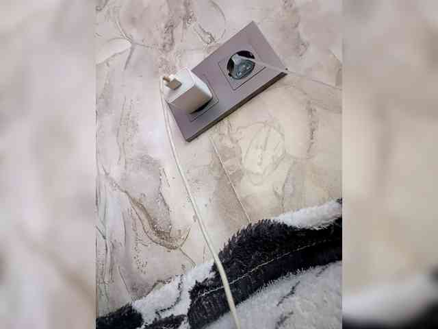 Artem29aAlisa29 webcam