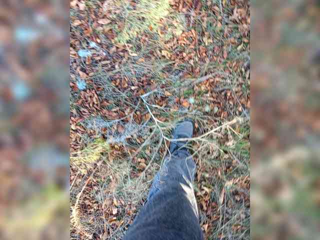 Artem29aAlisa29 webcam