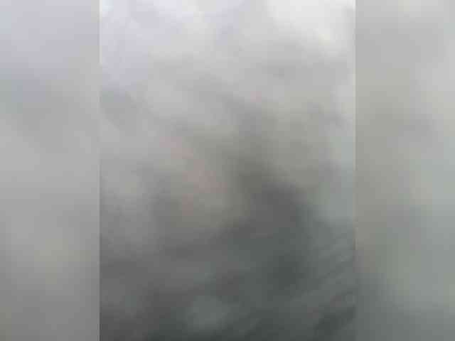 Artem29aAlisa29 webcam