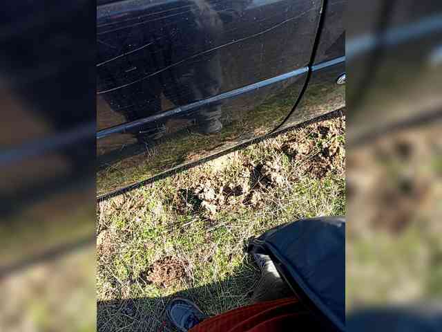 Artem29aAlisa29 webcam