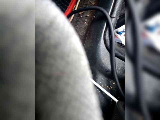 Artem29aAlisa29 webcam