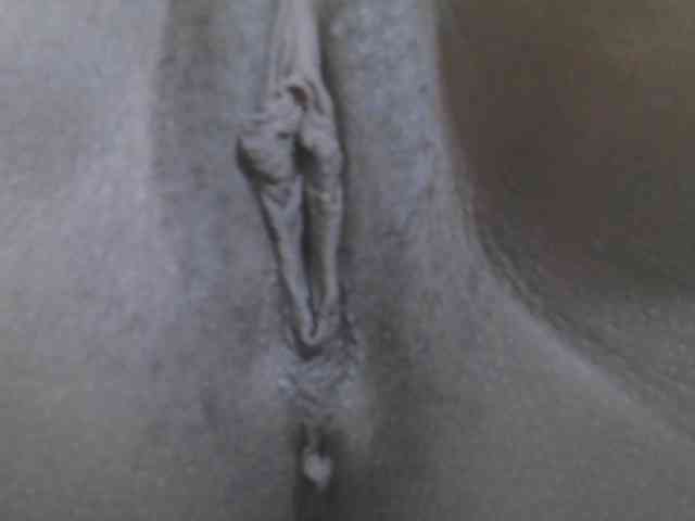 Verylshanny webcam