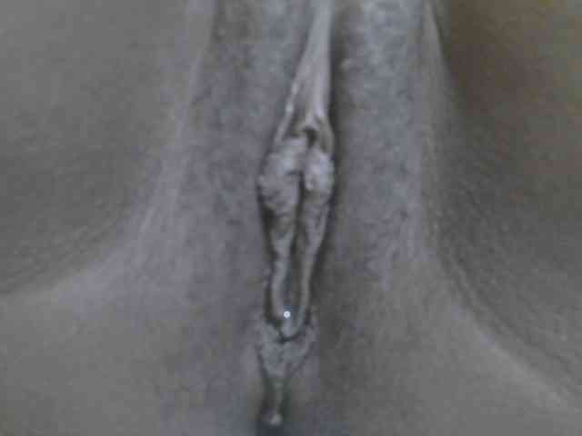 Verylshanny webcam