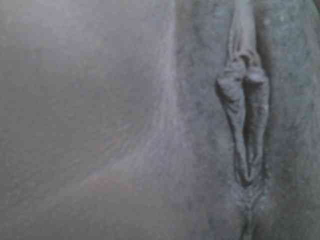 Verylshanny webcam