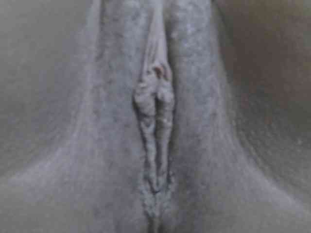 Verylshanny webcam