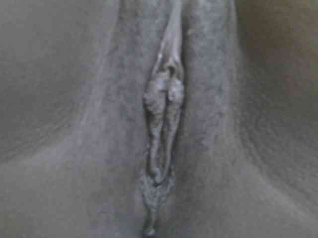 Verylshanny webcam