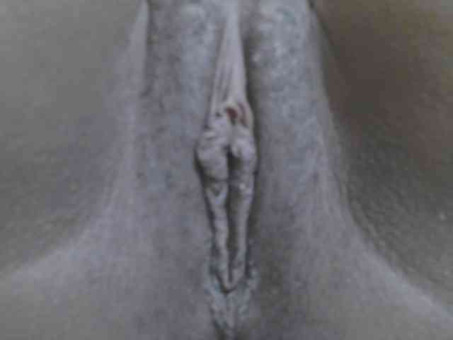 Verylshanny webcam