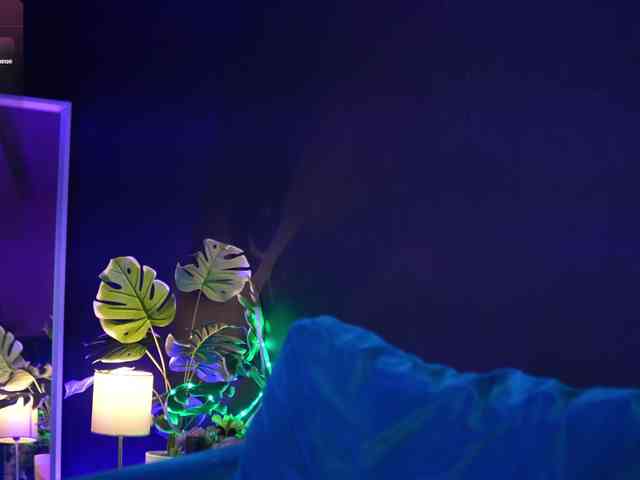 RubyRya webcam