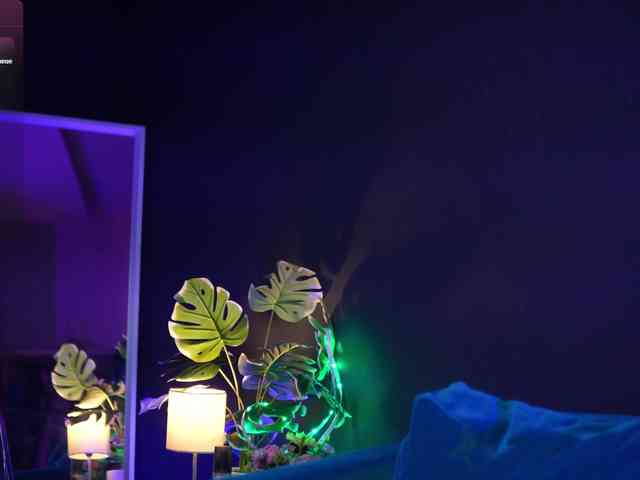 RubyRya webcam