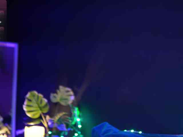 RubyRya webcam