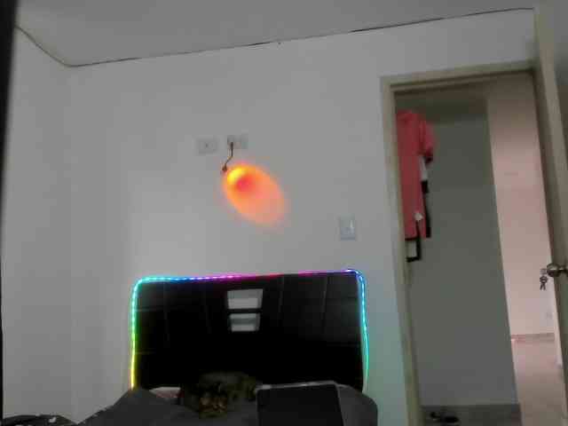 SherryBlossom webcam